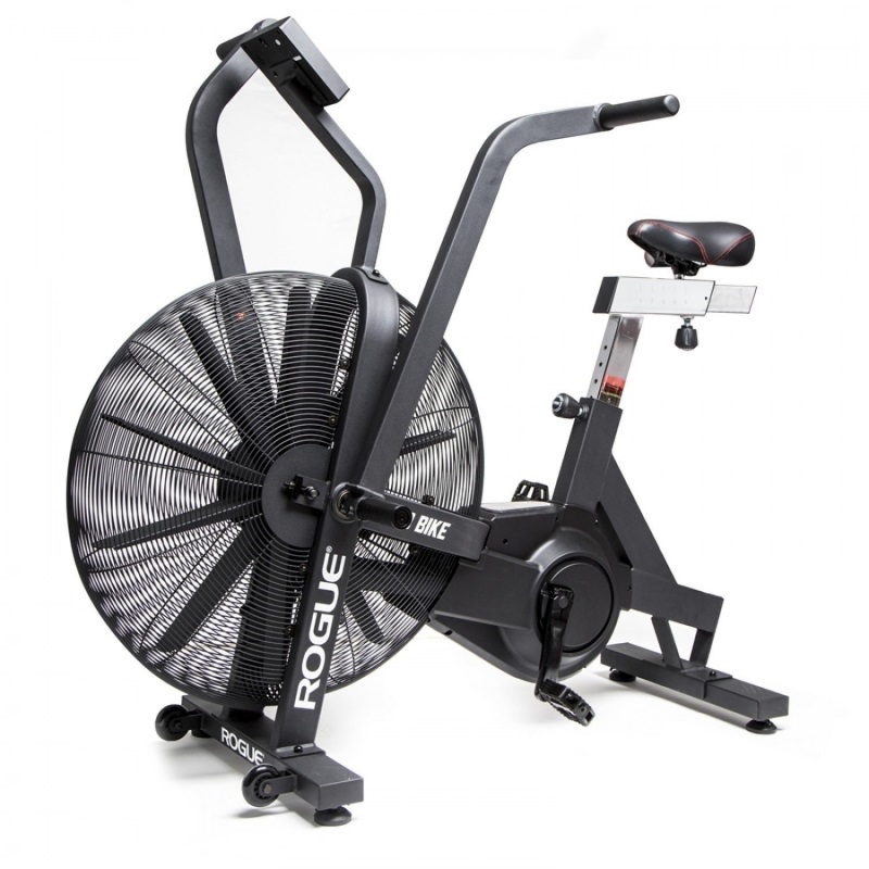 Echo Bike Rogue