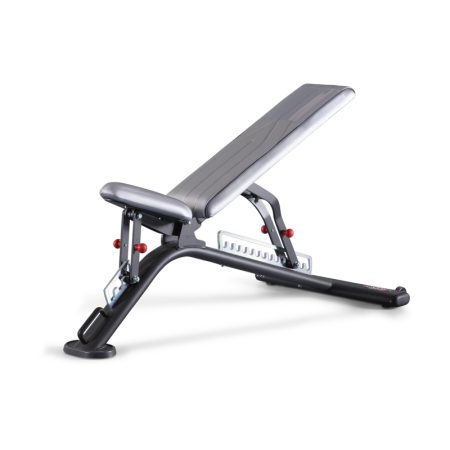 Fully Adjustable Bench Panatta